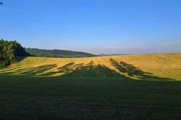 Łąki o poranku, czerwiec 2026, samtuitam.pl