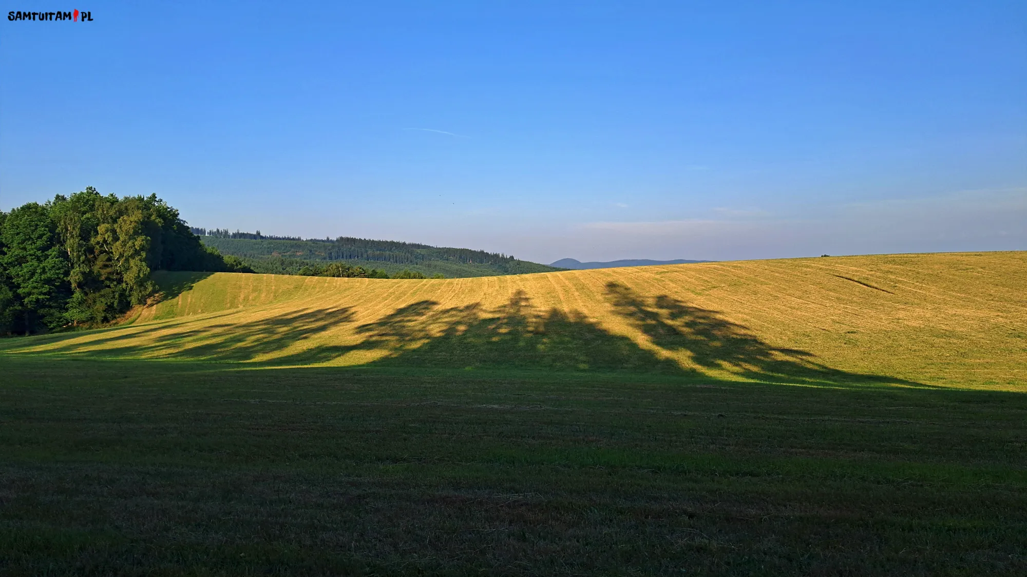Łąki o poranku, czerwiec 2026, samtuitam.pl
